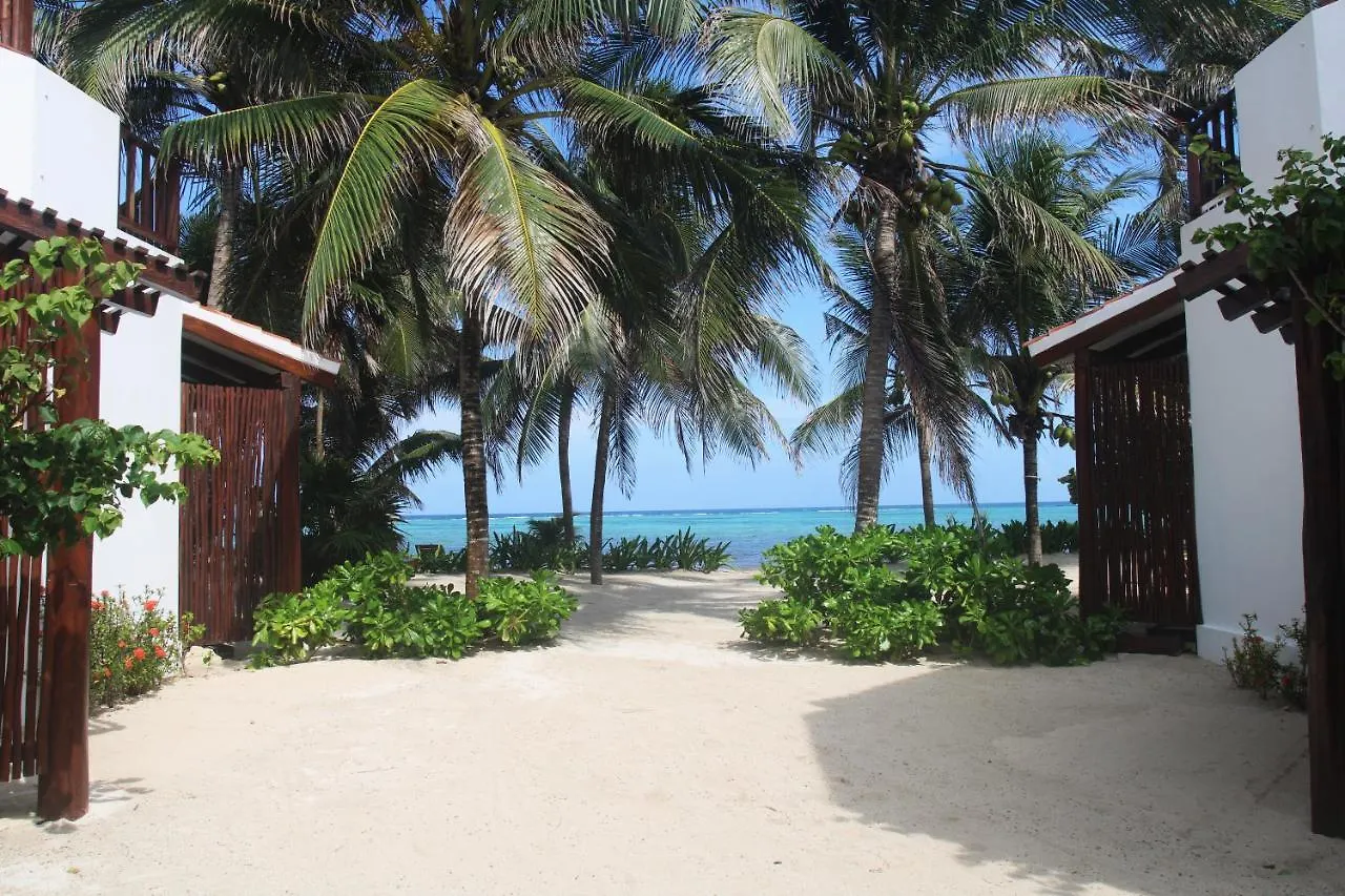 Bed and Breakfast Casa Colibri Tankah Tulum