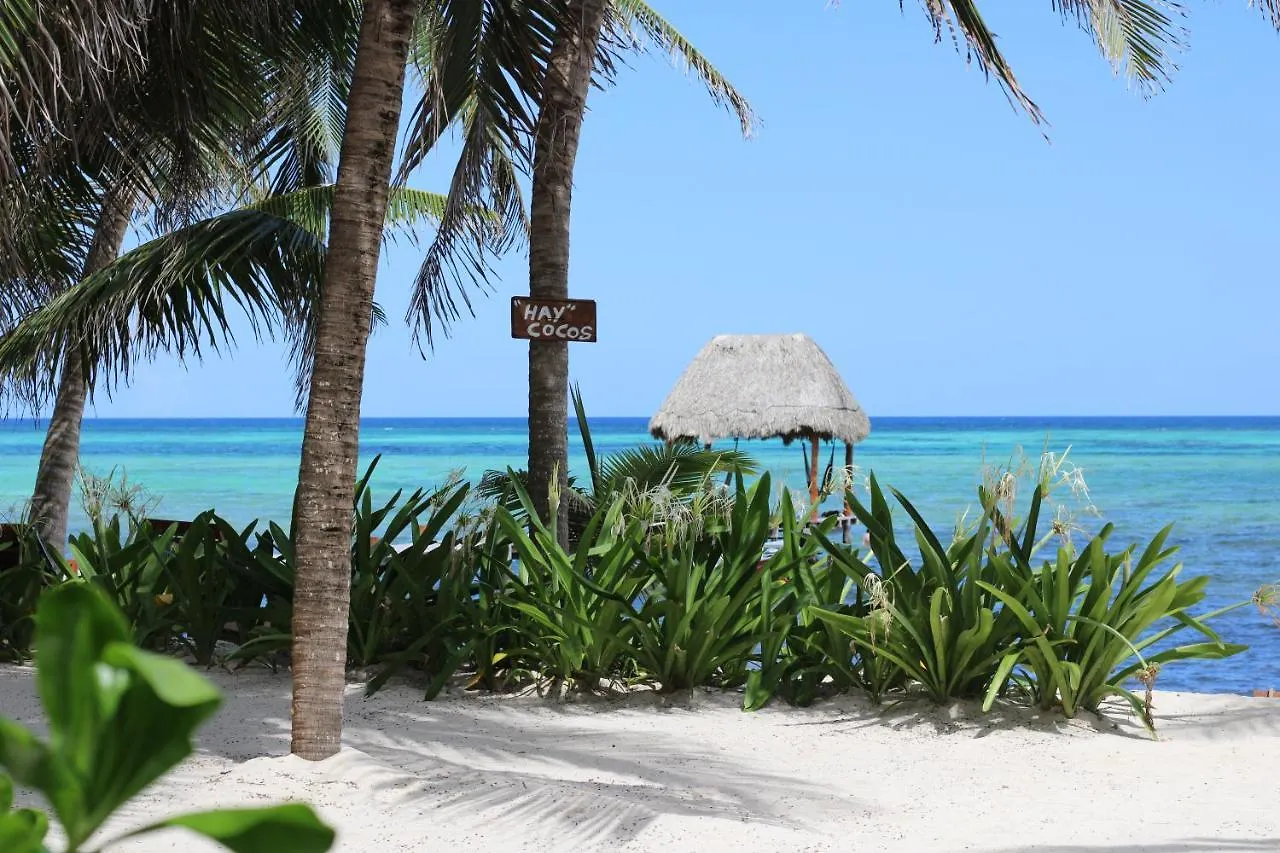 Bed and Breakfast Casa Colibrí Tankah Tulum