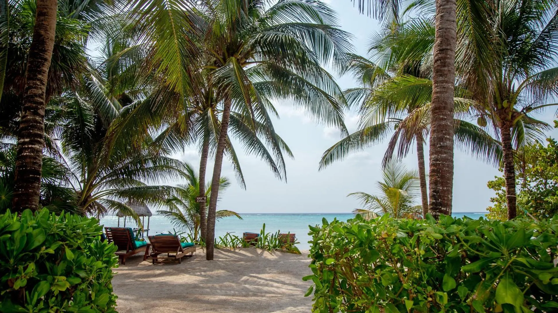 Bed and Breakfast Casa Colibrí Tankah Tulum Bed & Breakfast